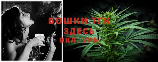 дживик Протвино