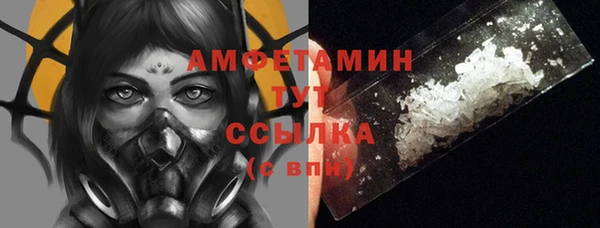 гашик Аркадак