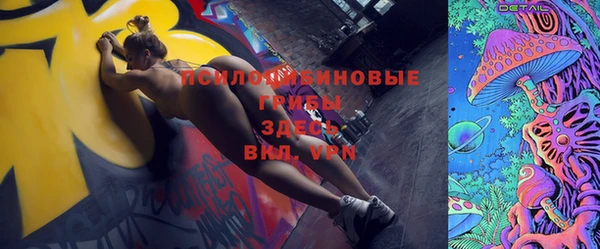 гашик Аркадак