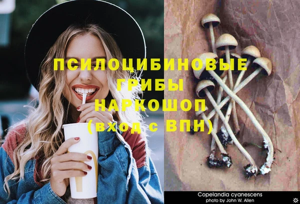 гидропоника Армянск