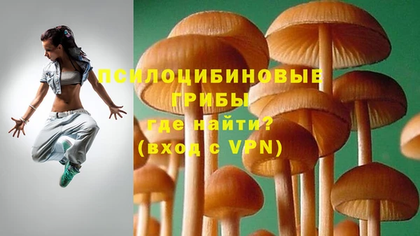 гидропоника Армянск
