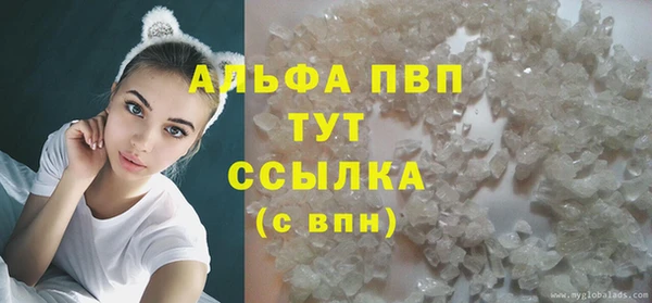 гашик Аркадак